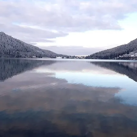 Chalet Le Cabanon Cendré Petit Cosy Au Coeur De Gérardmer
